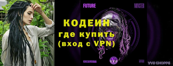 прущие грибы Медвежьегорск