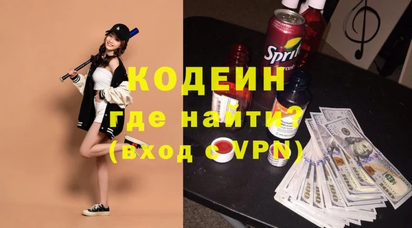 прущие грибы Медвежьегорск