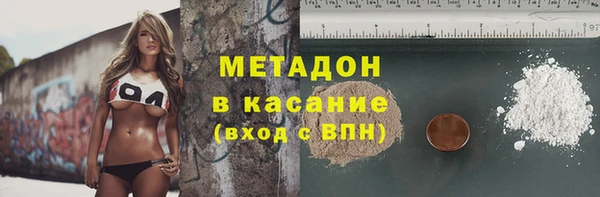 прущие грибы Медвежьегорск