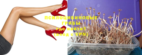 мяу мяу мука Майский