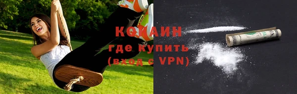 прущие грибы Медвежьегорск