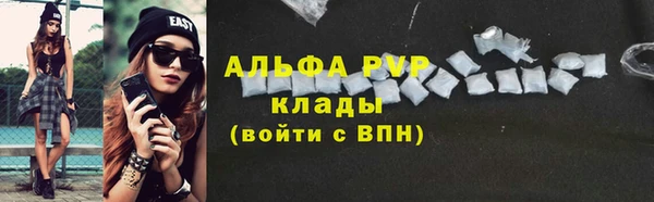 СК Медногорск