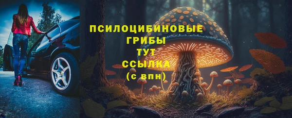 СК Медногорск