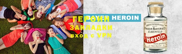 прущие грибы Медвежьегорск