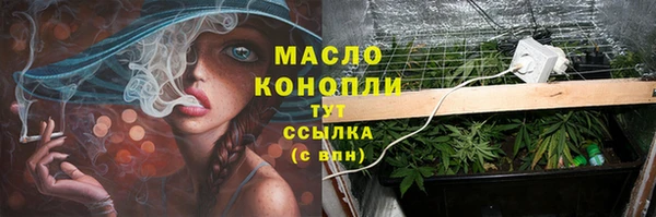 прущие грибы Медвежьегорск
